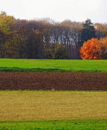 Rosną ceny ziemi. W dziesięć lat o blisko 400 procent
