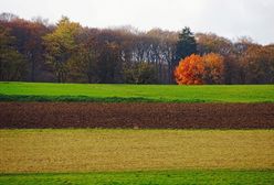 Pięć osób z zarzutami wyłudzenia 190 mln zł unijnych środków na rolnictwo