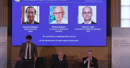 Nobel z chemii. Nagroda za innowacyjne struktury metaloorganiczne