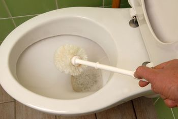Wlej do pojemnika na szczotkę do WC. Kamień już się nie pojawi