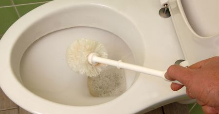 Wlej do pojemnika na szczotkę do WC. Kamień już się nie pojawi