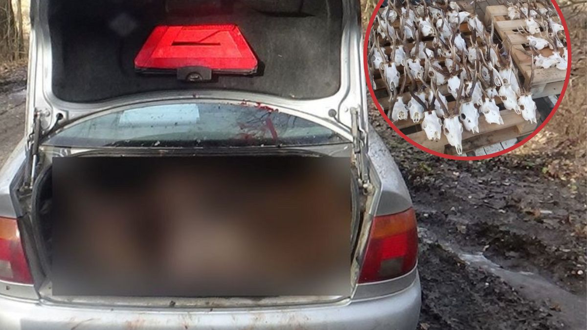 Otworzył bagażnik. Policjanci złapali się za głowy. 