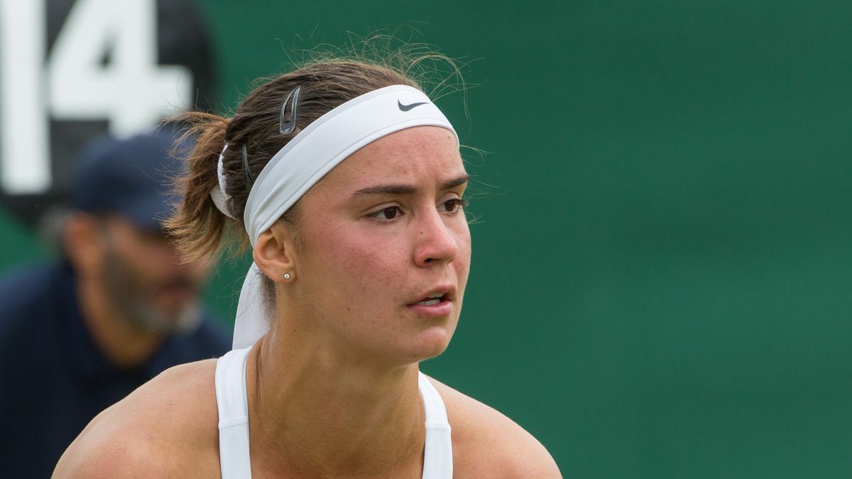 Wikimedia Commons / Diliff / Anhelina Kalinina w czasie meczu na korcie