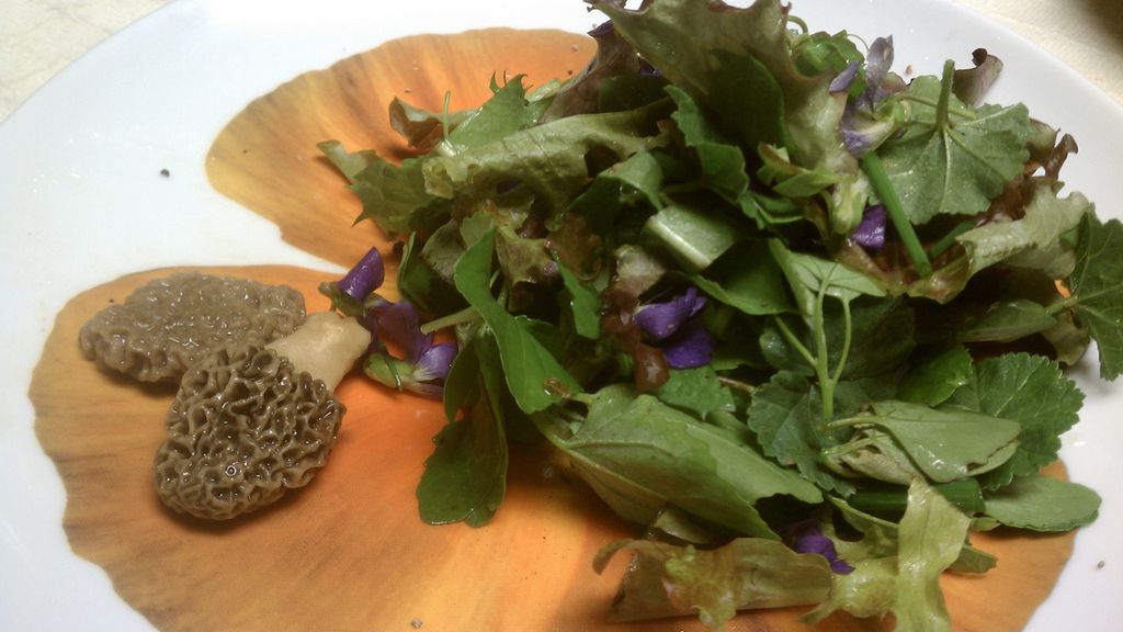 Gotowana komosa biała bez dodatku soli, odsączona