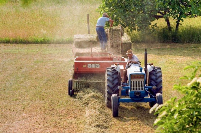 Spada liczba wypadków w rolnictwie. Najnowsze dane KRUS