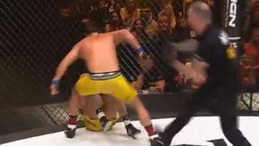 Tak zakończyła się walka Karasia na gali freak fightów