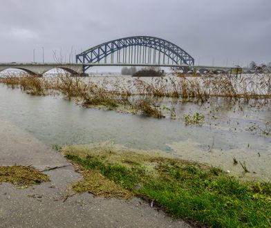 20-latek nie żyje. Polak był poszukiwany od listopada