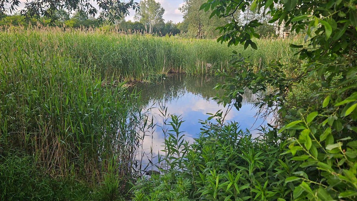 Jak powinien wyglądać Park Miejski przy ul. Parkowej?