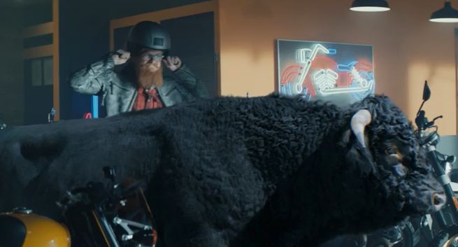 Byk chwycony z rogi reklamuje kredyt w BGŻ BNP Paribas (wideo)