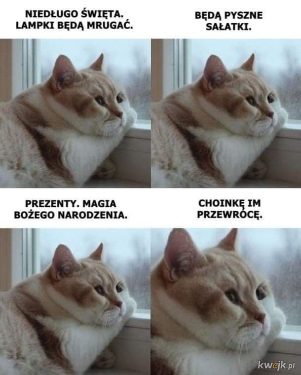 Memy Boże Narodzenie 