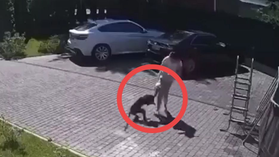 Atak małpy pod Moskwą