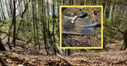 Średniowieczny skarb w lesie. Krył się zaledwie 20 cm pod ziemią