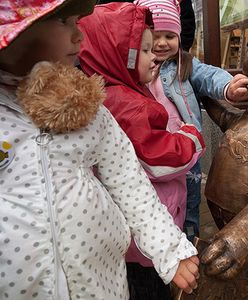 Miś odzyskał łapkę