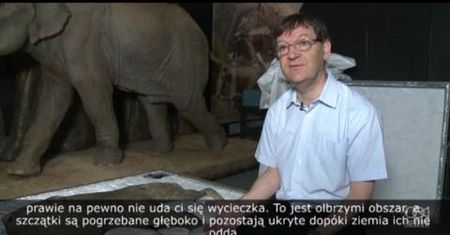 Na wystawie w Londynie zostanie pokazany mamut