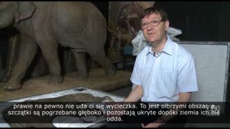 Na wystawie w Londynie zostanie pokazany mamut