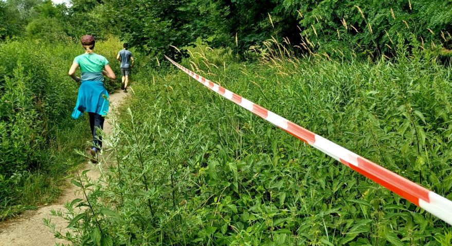 Barszcz Sosnowskiego jest bardzo niebezpieczny. Sprawdzajmy, gdzie bawią się dzieci