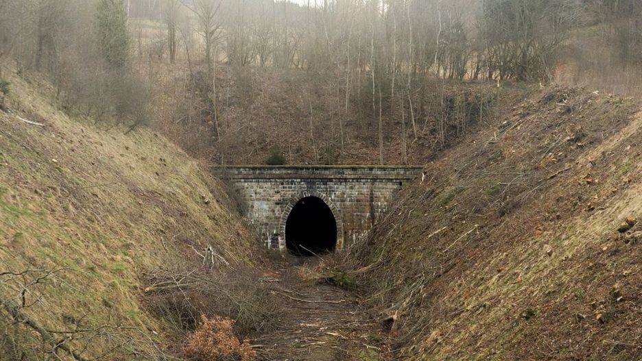 Przetarg na rewitalizację linii kolejowych do Lwówka Śląskiego, Kowar, Kamiennej Góry