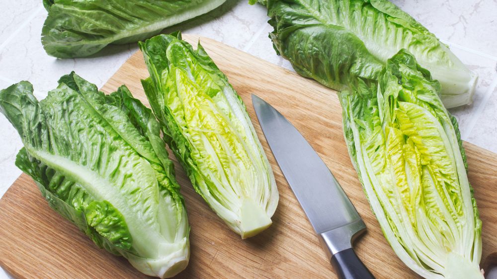 Surowa sałata rzymska