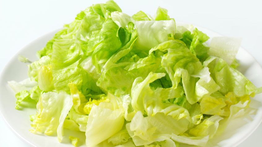 Uprawa sałaty lodowej jest powszechna praktycznie na całym świecie