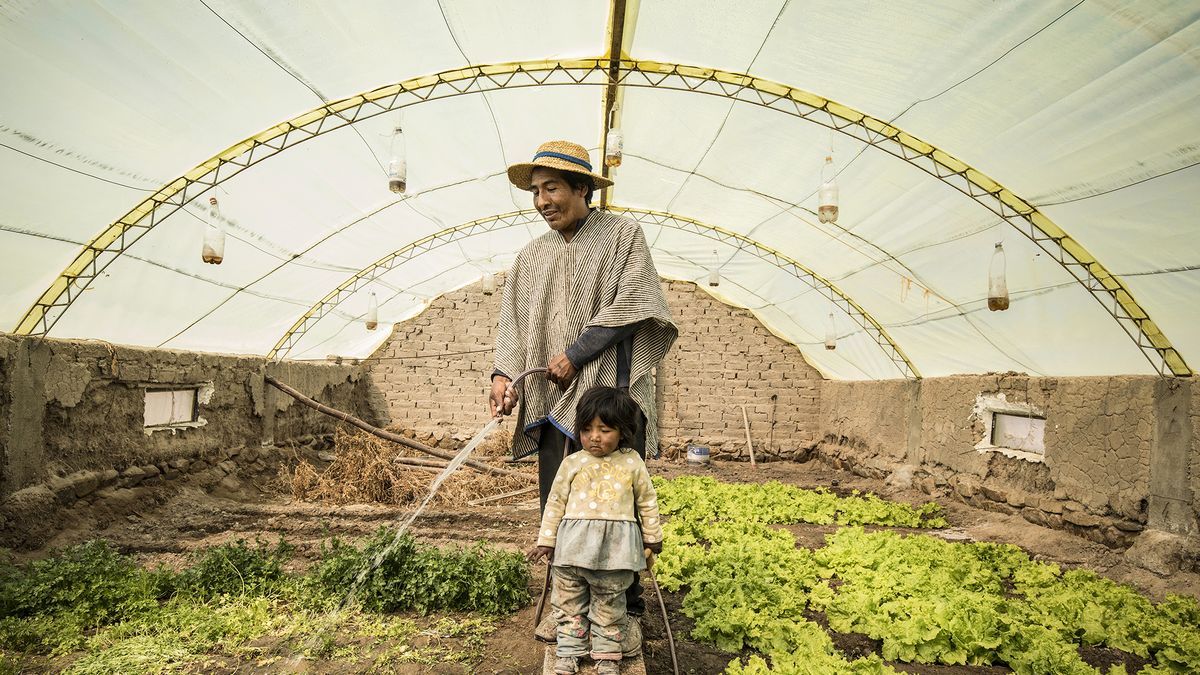 Sony World Photography Awards 2020 - znamy finalistów 1