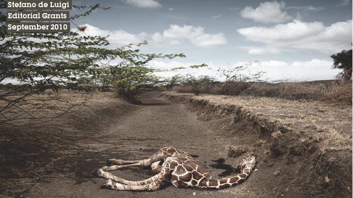 Getty Images chce Ci dać 20 tys. dolarów na fotograficzny rozwój. Skorzystasz? 1