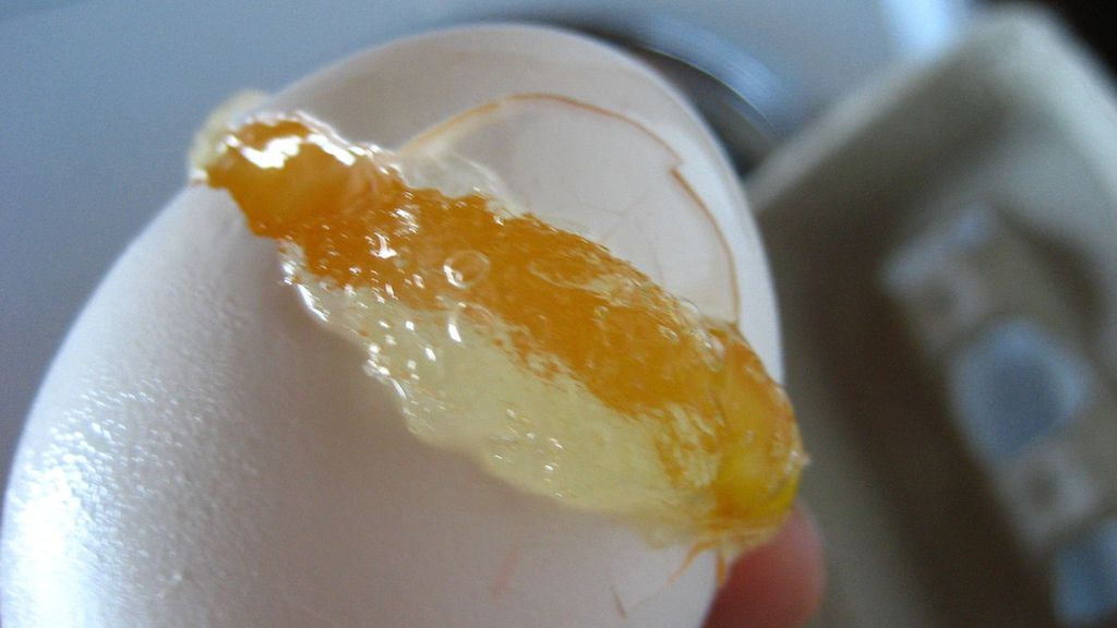 Mrożone jajko z dodatkiem soli, pasteryzowane