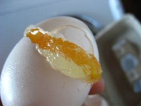 Mrożone jajko z dodatkiem soli, pasteryzowane