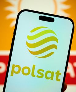 Rekord w cenniku stacji. Ten świąteczny hit kochają wszyscy