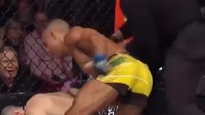 UFC 262. Nokaut z opóźnionym zapłonem. Zobacz, co zrobił Edson Barboza [WIDEO]