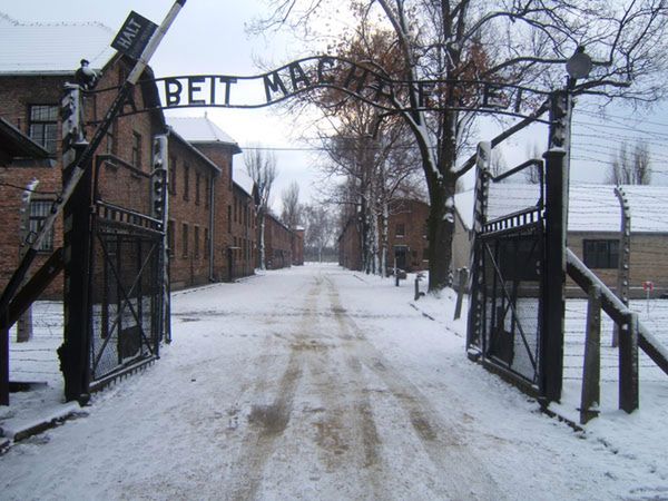 Anglicy odpowiedzą przed sądem za kradzież w Muzeum Auschwitz