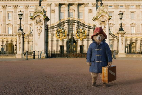 "Paddington": Jak się macie - Misia znacie? [RECENZJA]
