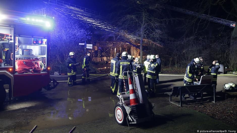 Niemcy. Pożar w zoo w Krefeld. 30 małp spłonęło żywcem
