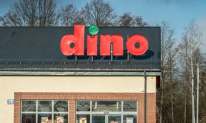 Kontrole w sieci Dino. Związkowcy domagają się poprawy warunków pracy