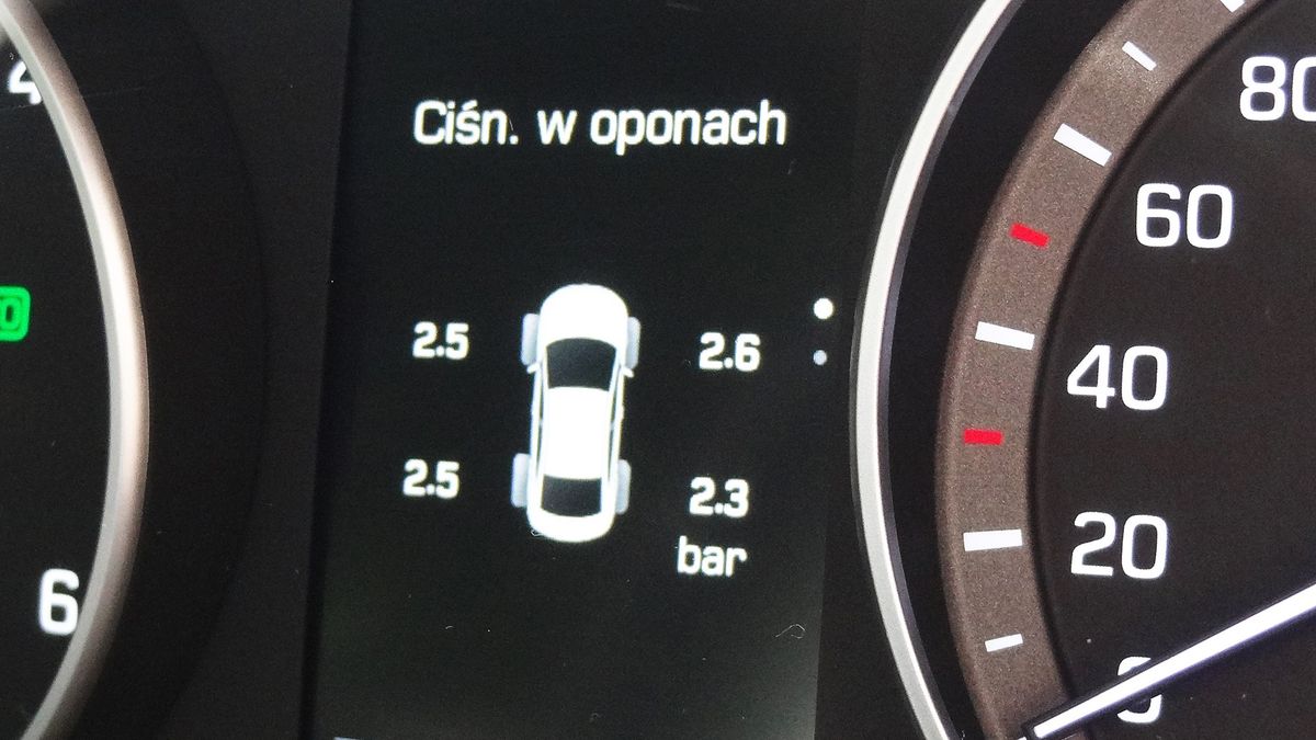 Zdjęcie ilustracyjne do artykułu