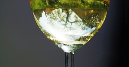 Wino stołowe semillon (białe)