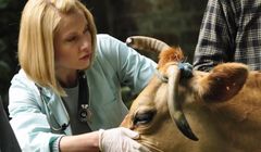 „Blondynka” z Joanną Moro pokonała konkurencję. W planach czwarta seria