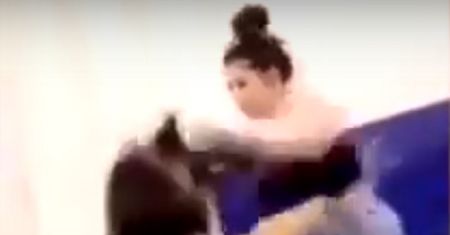 USA. Kobieta boksowała psa. Policja wszczęła śledztwo