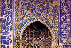 Przyjrzyjmy się drzewom