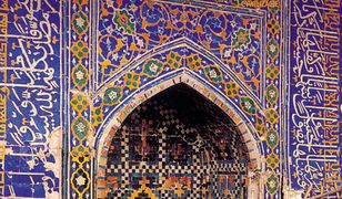 Przyjrzyjmy się drzewom