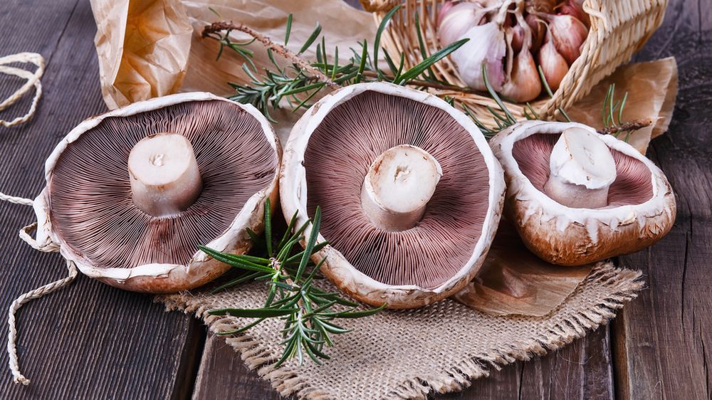 Surowe grzyby portobello