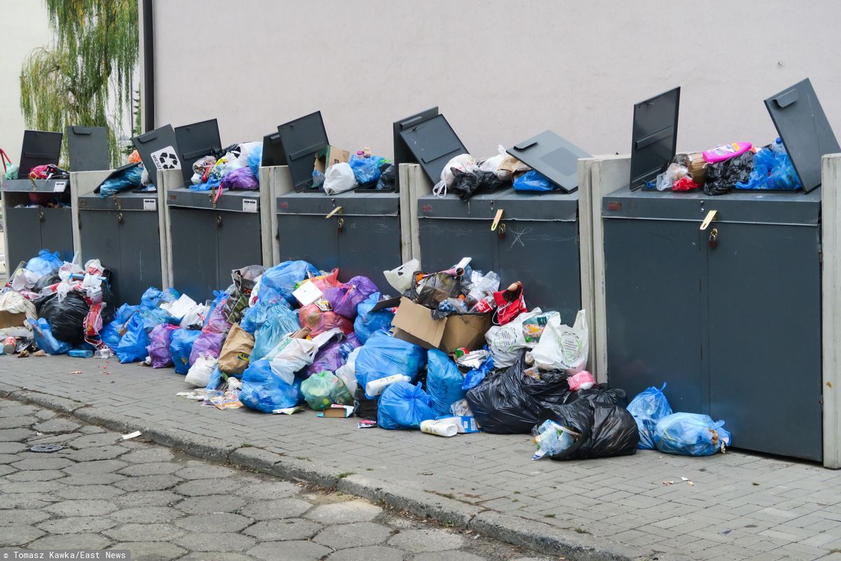 Drożyzna przy śmietniku. W Wałbrzychu czteroosobowa rodzina zapłaci nawet 216 zł miesięcznie