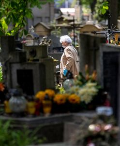 Koronawirus a dzień Wszystkich Świętych. Kwesta pod Warszawą odwołana