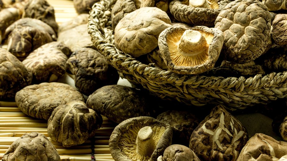 Suszone grzyby shiitake
