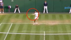 Nowy król Wimbledonu. Tak Carlos Alcaraz zakończył mecz [WIDEO]