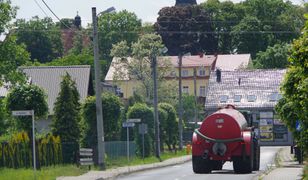 Kontrole szamb. Mandaty sypią się jak z rękawa, Polacy idą do sądów