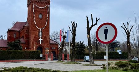 Ścięto drzewa pod kościołem. Proboszcz się tłumaczy. "Konieczne"
