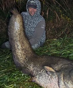 Sum gigant w Poznaniu. "Tę rybę już znam"