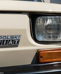 Fiat 126p (maluch): za ile można kupić obecnie kultowy samochód z dzieciństwa?