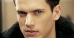 Genialny Wentworth Miller szuka miłości