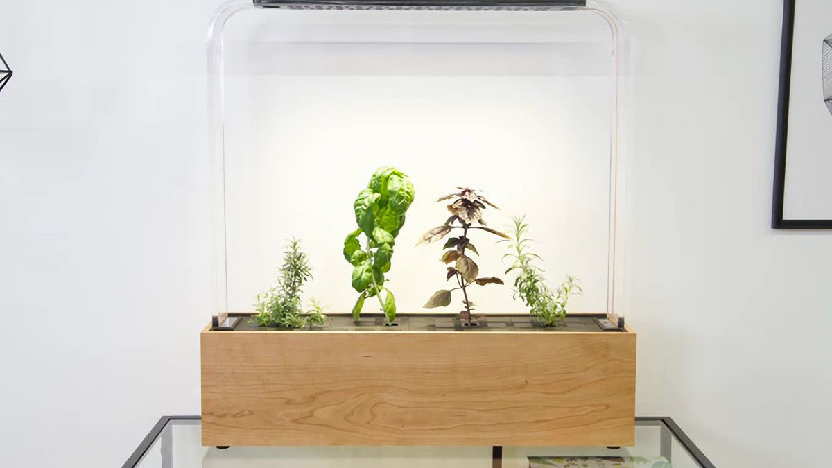 Herb Garden od GardenByte. Inteligentny ogródek w twoim domu 1